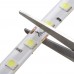 24V Cold White 5050 SMD LED Strip - 1Meter