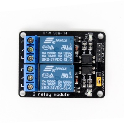 2 Channel 24V Relay Module with Optocoupler buy online at Best Price ...