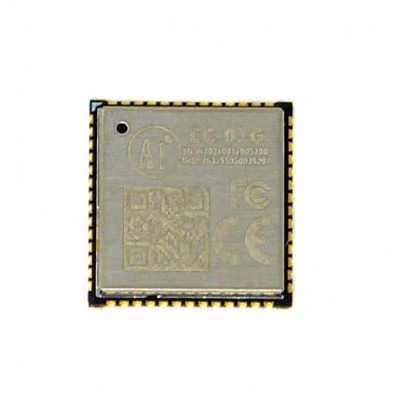 Ai-Thinker EC-01G NB-IOT Module Ai-Thinker EC-01G NB-IOT Module