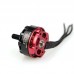 EMAX RS2205 2300KV Brushless DC Motor for FPV Racing Drone - Red Cap (CCW Motor Rotation)