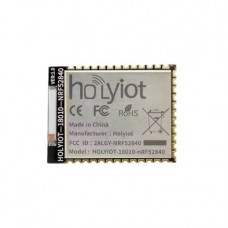 Holyiot 18010, Nrf52840 Long Range Chipset BLE Module