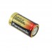Panasonic Alkaline C-Size Battery - Pack of 2 - LR-14T/2B