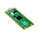 Raspberry Pi Pico Boards Raspberry Pi Pico Boards